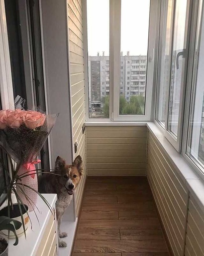 Балкон на Кутузова 81а - фото 1